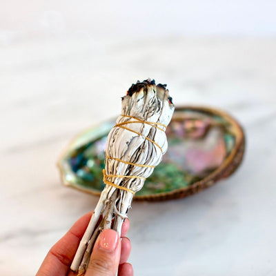 burning sage stick with abalone shell at embrace crystals