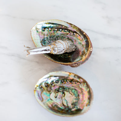 Large Abalone Shell