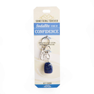 sodalite key charm keyring crystal